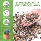 Pulovin 5lbs Mix Horticultural Lava Rocks - Image 3