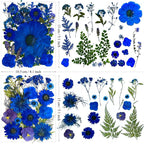 132Pcs Blue Pressed Dried Flowers and Butterfly - Image 6