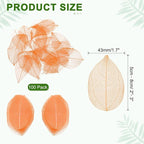 uxcell 100 Pcs Orange Skeleton Leaves - Image 2