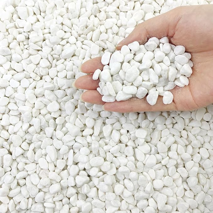 FANTIAN 5lbs Natural White Pea Gravel Pebbles by FANTIAN-GardeningMakesLifeBetter