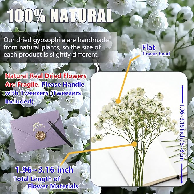 112Pcs Babys Breath Mini Dried Pressed Flowers - Image 4