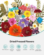 Dried Flowers, Resiners 174Pcs Pressed Flowers - Image 4