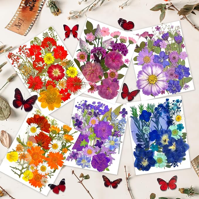 207 Pcs Dried Pressed Flowers for Crafts, Dried Pressed Flowers for Resin - Image 5