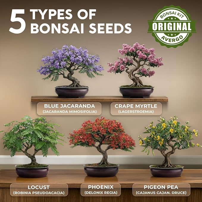 Bonsai Tree Kit Deluxe - Image 2