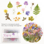 160pcs Pre-Cut Scrapbooks Natural Stickers, Floral and Plant Sticker - Image 4