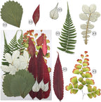 90 Pcs Real Dried Pressed Flowers and Leaves Natural Dried Petals - Image 4