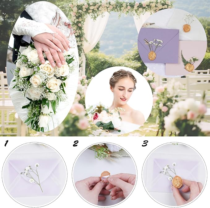 50Pcs White Dried Pressed Flowers - Image 5