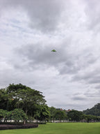 B2 Model Airplane Kite, Large Easy to Fly Kites Adults, 300FT String Reel - Image 9