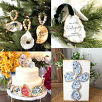 30Pcs Large Flat Oyster Shells for Crafts, 4-5 Inch Cleaned Natural Oyster - Image 4