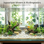 FUTUREPLUSX 1Lb Flat Glass Marbles, Decorative Glass Pebbles, Rocks Fish Tank - Image 5