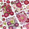 Dried Pressed Flowers for Resin | Real Pressed Flowers Dry Leaves Bulk Natural by CONVELIFE
