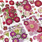 Dried Pressed Flowers for Resin | Real Pressed Flowers Dry Leaves Bulk Natural by CONVELIFE