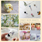 132 PCS Pressed Flowers for Resin molds Real Dried Flower Leaves for Resin - Image 5
