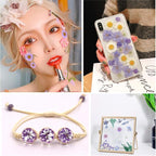 Augshy Dried Pressed Flowers for Resin, Natural Purple Dried Pressed Flowers - Image 5