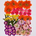 136pcs Dried Flowers for Resin, Dried Pressed Flowers for Crafts Bulk for - Image 3