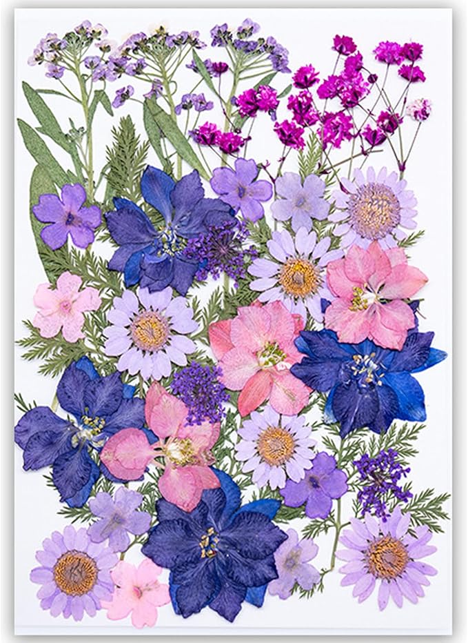 35Pcs Dried Pressed Flowers for Resin DIY Art Crafts Natural Dry Floral Daisy by TopFunny