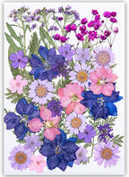 35Pcs Dried Pressed Flowers for Resin DIY Art Crafts Natural Dry Floral Daisy by TopFunny