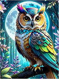 Paint by Numbers Kit for Adults, Owl Paint by Numbers Kit for Adults Beginners by MANDUN