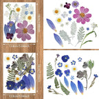 Nuanchu Dried Flower for Resin Crafts Pressed Flowers Bulk, Real Dried - Image 3