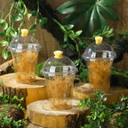 Honeydak 50 Pack Praying Mantis Habitat, Live Chinese Ootheca Praying Mantis - Image 6