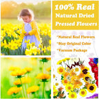 93 Pcs Yellow Dried Pressed Flowers Real Natural Leave Petals - Image 2