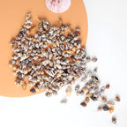 500pcs Natural Tiny Small Seashells - Image 7