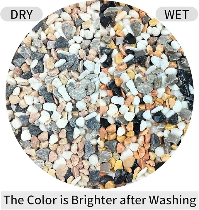 FANTIAN 2 lbs Succulent and Cactus Pebbles Gravel, 3/8 Inch Mixed Color - Image 7
