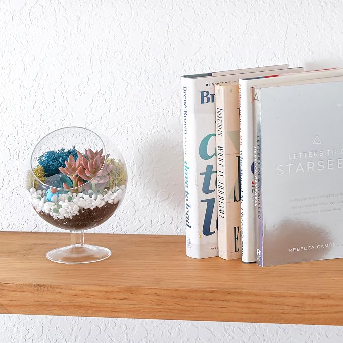 Creations by Nathalie DIY 6" Chalice Terrarium Kit Build Your Own Glass - Image 8