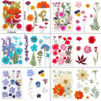 NESCCI 428 Pcs Dried Pressed Flowers - Image 2
