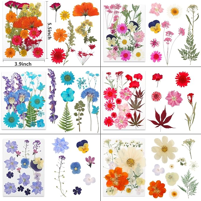 NESCCI 428 Pcs Dried Pressed Flowers - Image 2