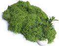 Light Green 8.8oz Artificial Floral Moss Fake Greenery Moss Faux Plant by Forlaoers