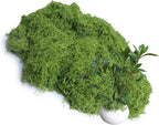 Light Green 8.8oz Artificial Floral Moss Fake Greenery Moss Faux Plant by Forlaoers
