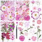 92Pcs Pink Dried Pressed Flowers by Unknown