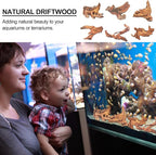 Natural Driftwood Decor for Aquarium Decorations Reptile Tank Accessories - Image 2