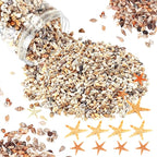 WEOXPR 2000 Pcs Tiny Sea Shells & Starfish - Image 8