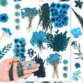 Fabbay 200 Pcs Dried Pressed Flowers Real Dry Natural Flower Leaf Dried Flowers by Fabbay