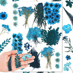 Fabbay 200 Pcs Dried Pressed Flowers Real Dry Natural Flower Leaf Dried Flowers by Fabbay