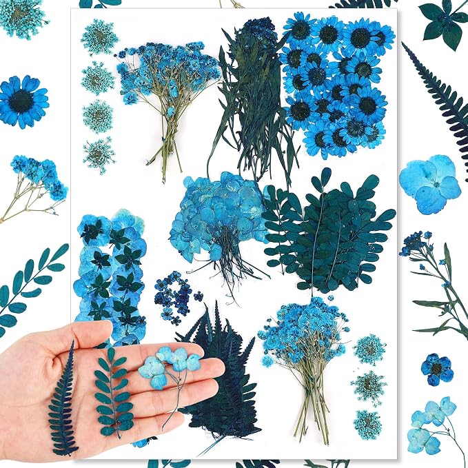Fabbay 200 Pcs Dried Pressed Flowers Real Dry Natural Flower Leaf Dried Flowers by Fabbay