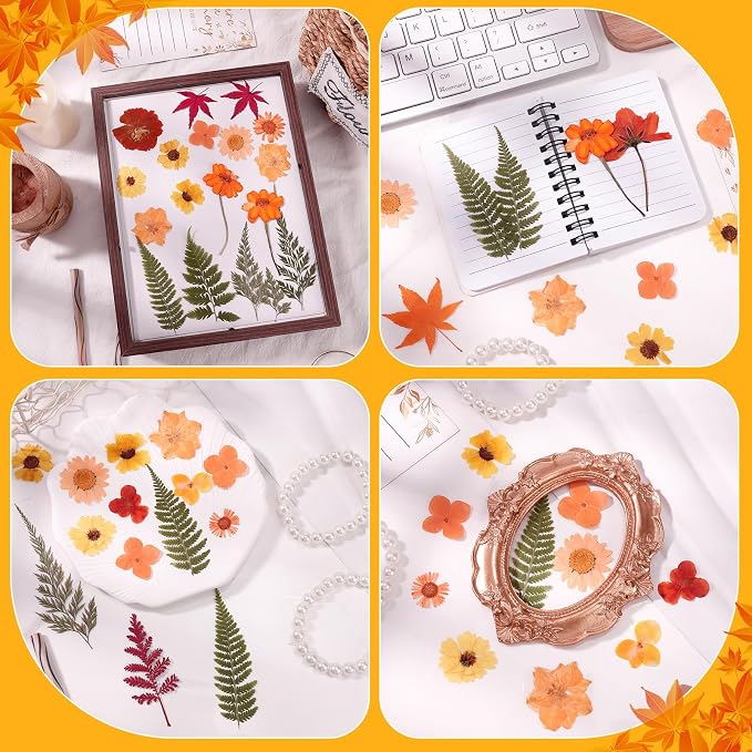100 Pcs Fall Dried Pressed Flowers, Real Orange Dried Wildflowers Leave - Image 5