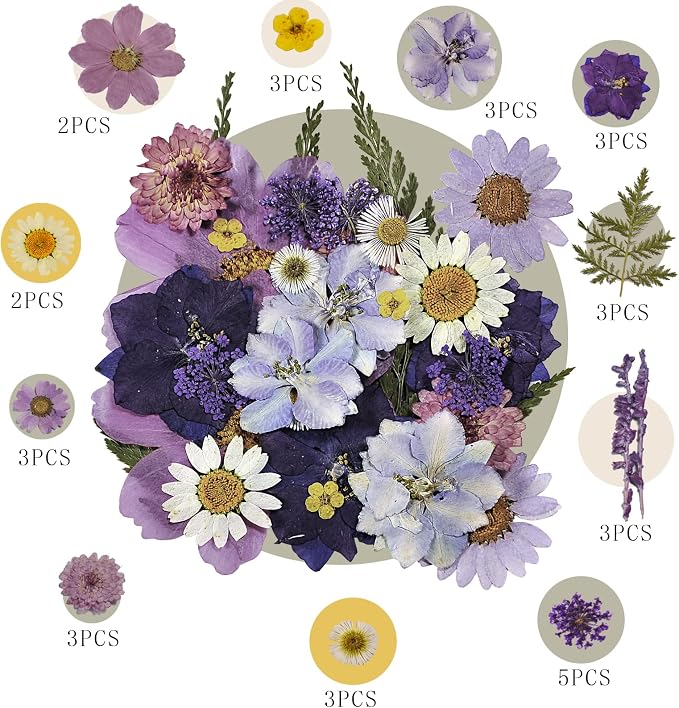 Pressed Flowers Purple 33 Pcs of 12 Types | Real Dried Flowers - Image 2