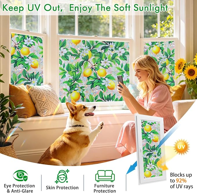 SOMWISE Rainbow Window Privacy Film, Heat Control, UV Blocking, Anti-Glare - Image 5