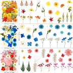 MIKIYA 150Pcs Dried Pressed Flowers - Image 6