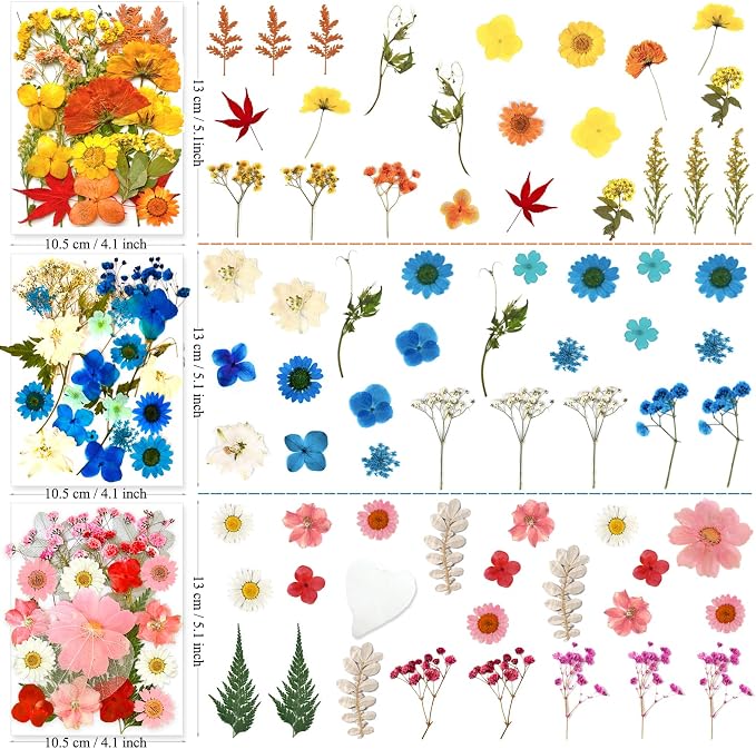 MIKIYA 150Pcs Dried Pressed Flowers - Image 6
