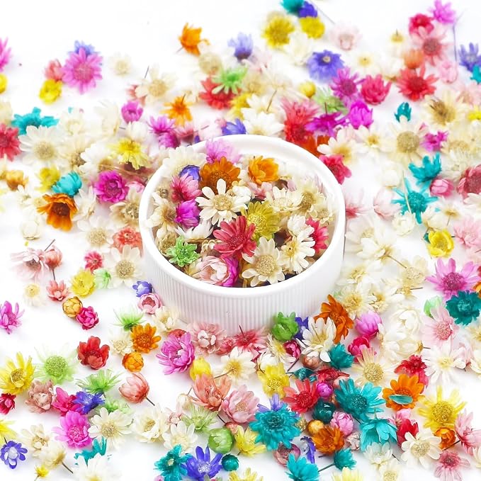 300 PCS Mini Dried Flowers for Resin, Small Dried Flowers for Crafts, by Unknown