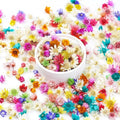 300 PCS Mini Dried Flowers for Resin, Small Dried Flowers for Crafts, by Unknown