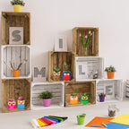 Winlyn 6 Sets DIY Ceramic Owl Succulent Pots Paint Craft Kit, Unpainted Ceramic - Image 5