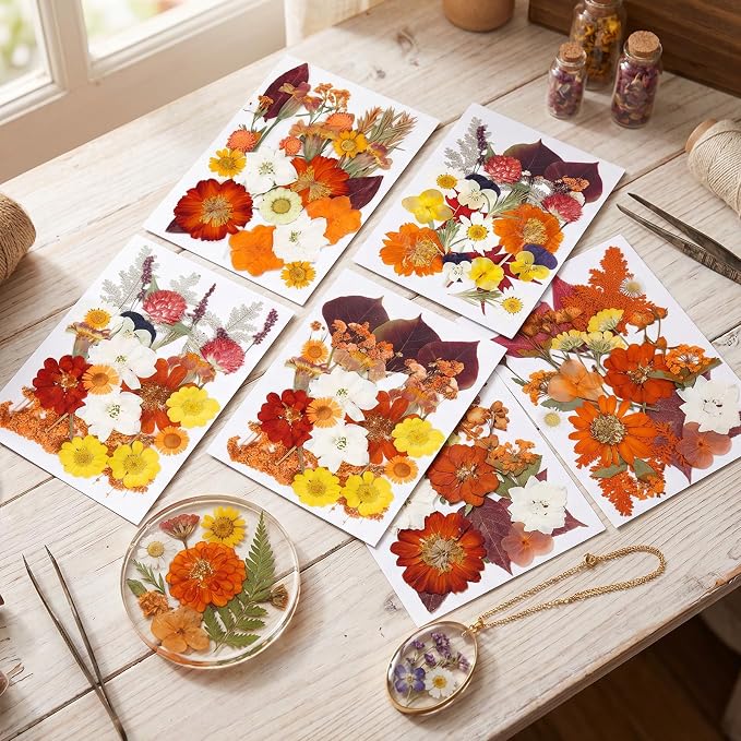NESCCI 277 Pcs Autumn Dried Flowers - Image 4