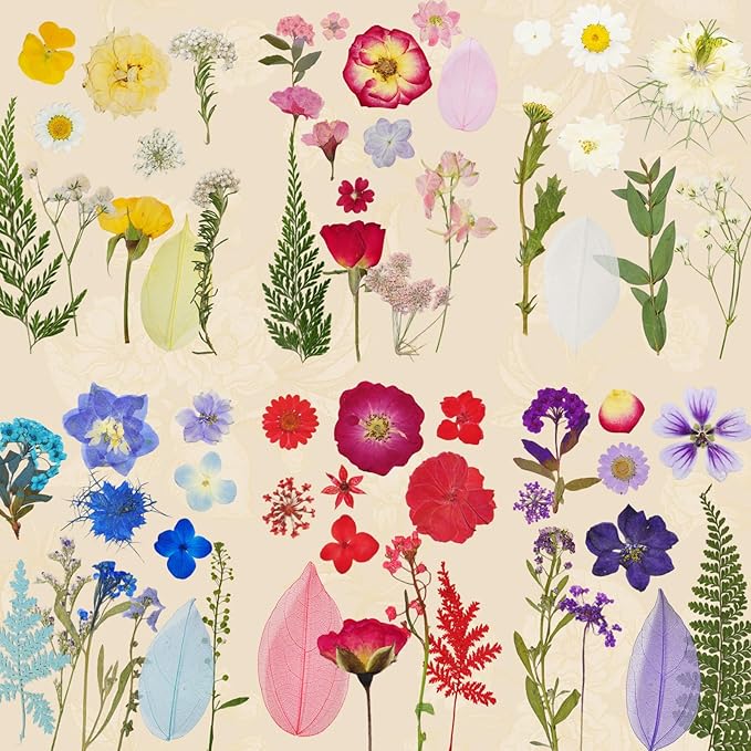 150 Pcs Dried Pressed Flowers for Resin | Real Nature Dried Flowers for Crafts - Image 3