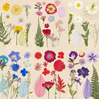 150 Pcs Dried Pressed Flowers for Resin | Real Nature Dried Flowers for Crafts - Image 3