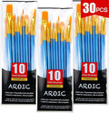 AROIC Paint Brush Set, 3 Pack 30 Pcs Acrylic Paint Brushes Artist Paint Brushes by AROIC
